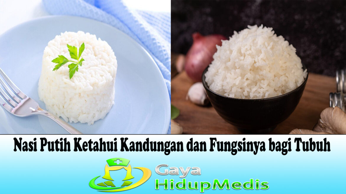 Nasi Putih Ketahui Kandungan dan Fungsinya bagi Tubuh