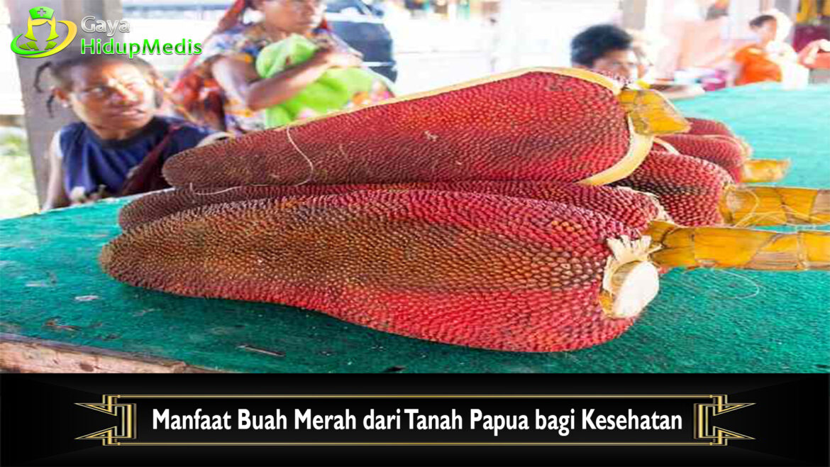 Manfaat Buah Merah dari Tanah Papua bagi Kesehatan