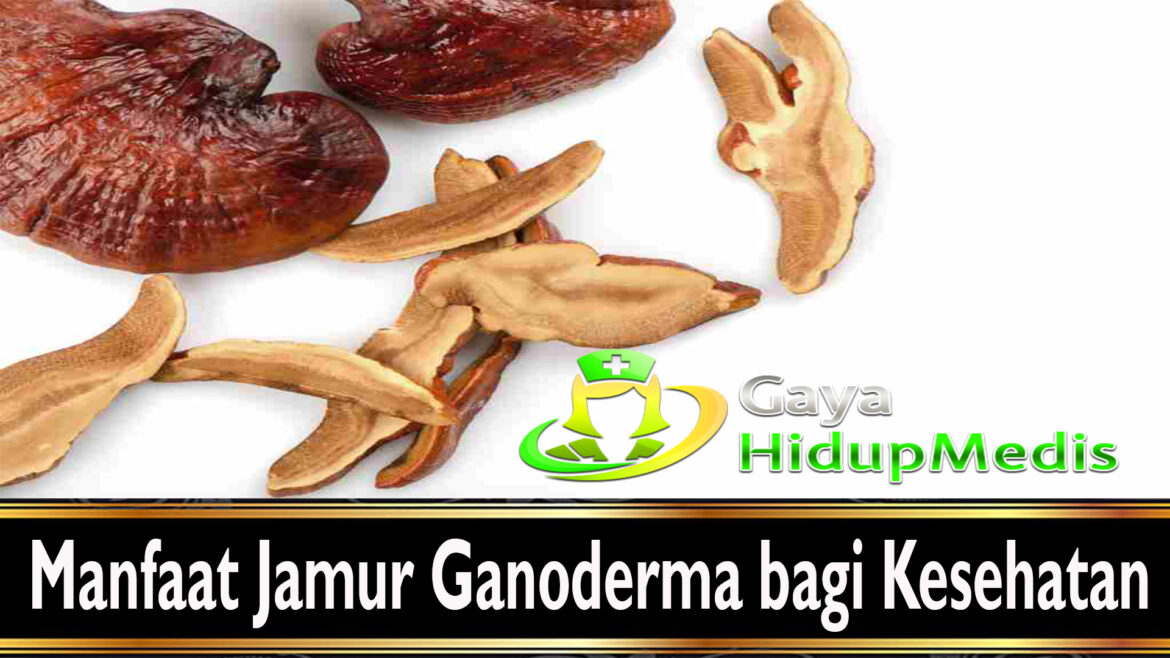Manfaat Jamur Ganoderma bagi Kesehatan