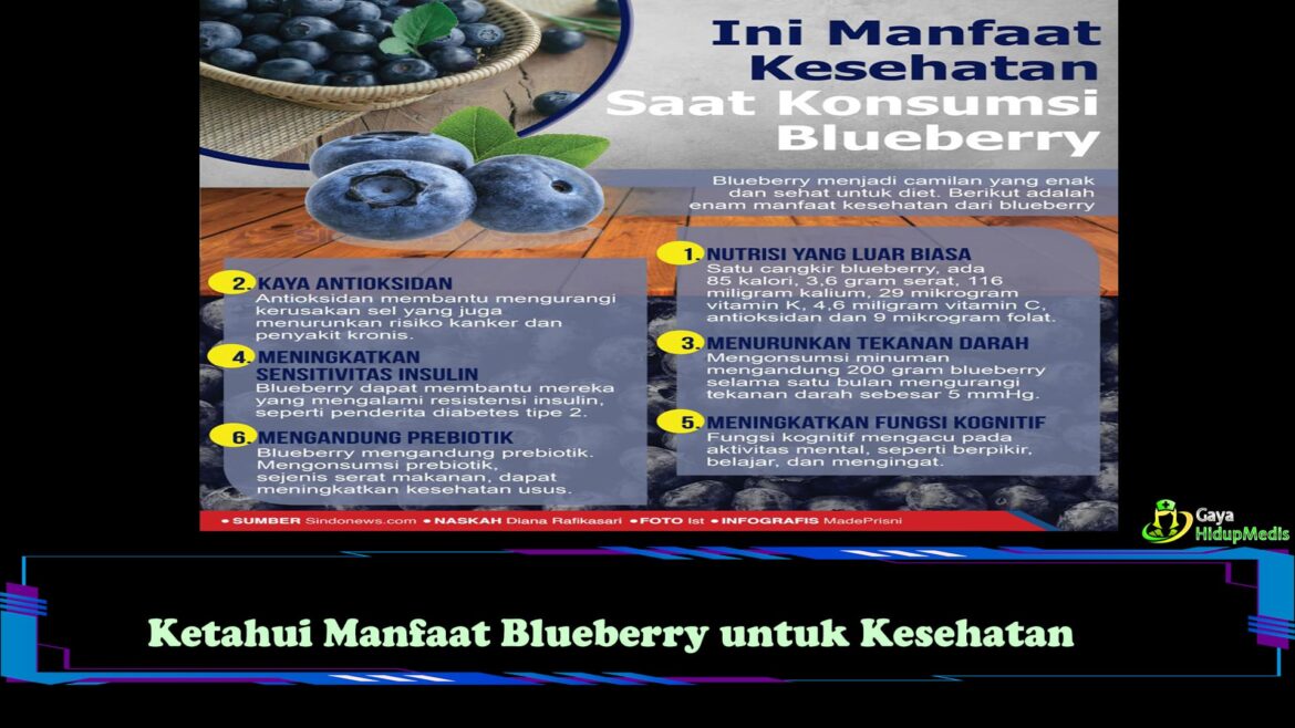 Ketahui Manfaat Blueberry untuk Kesehatan