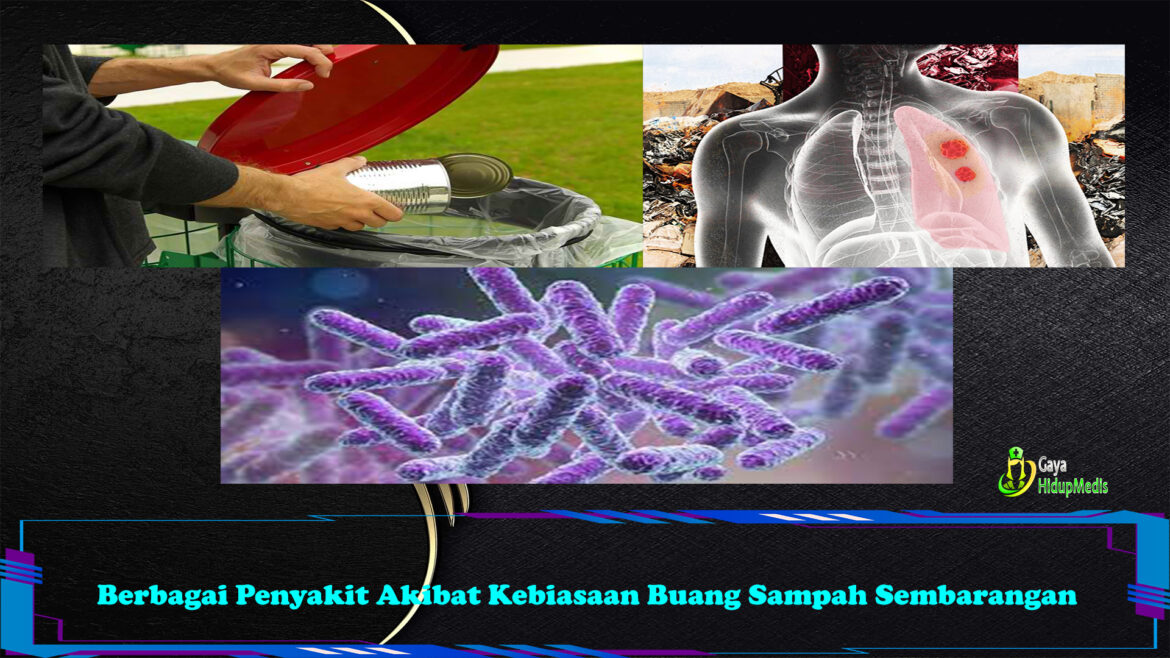 Berbagai Penyakit Akibat Kebiasaan Buang Sampah Sembarangan