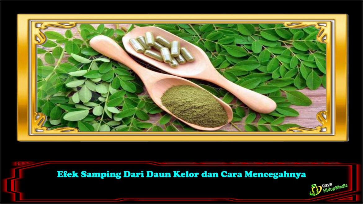 Efek Samping Dari Daun Kelor dan Cara Mencegahnya