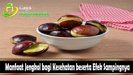 Manfaat Jengkol bagi Kesehatan beserta Efek Sampingnya