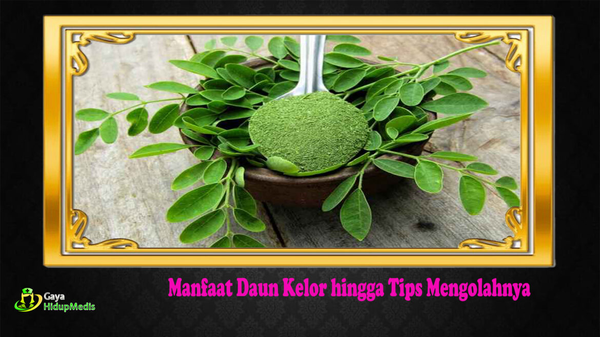 Manfaat Daun Kelor hingga Tips Mengolahnya