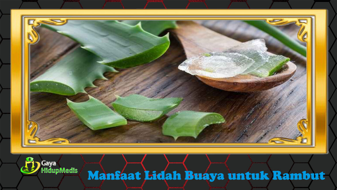 Manfaat Lidah Buaya untuk Rambut