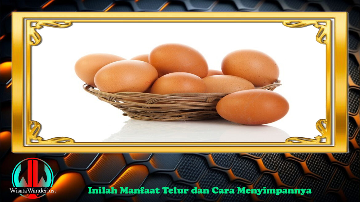 Inilah Manfaat Telur dan Cara Menyimpannya