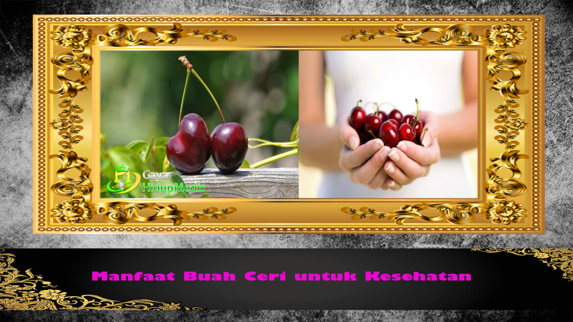 Manfaat Buah Ceri untuk Kesehatan