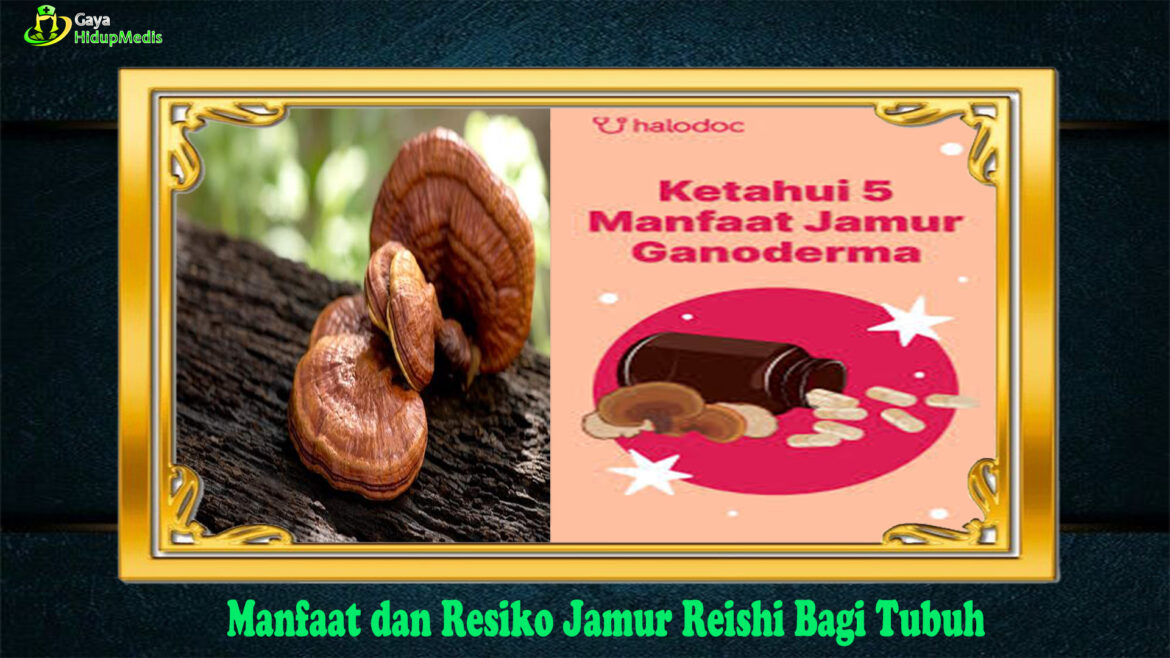 Manfaat dan Resiko Jamur Reishi Bagi Tubuh
